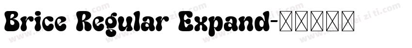 Brice Regular Expand字体转换